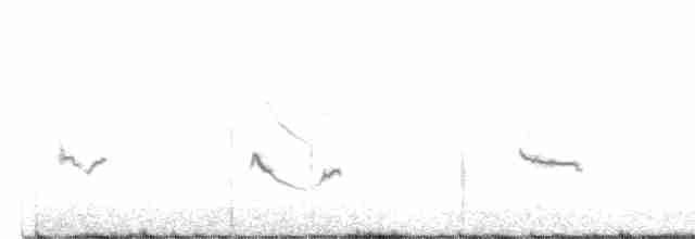 Магеланник жовтовусий (підвид xanthogramma) - ML514877301