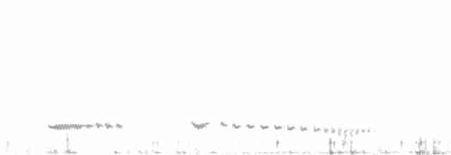 Small-billed Tinamou - ML514895131