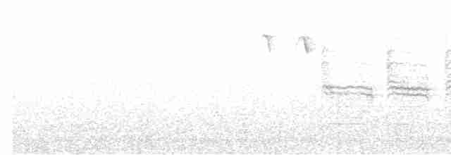 Гаїчка-пухляк звичайна [група montanus] - ML514895691