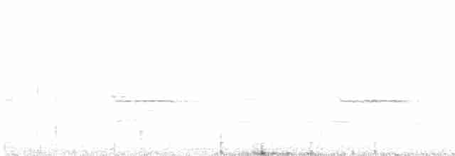 Küçük Notura Tinamusu - ML514904771