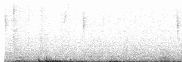 Paruline à couronne rousse (palmarum) - ML514945661