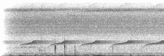 Лінивка-строкатка чорновола - ML515024