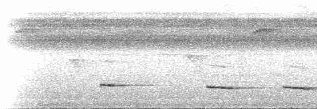 Graubrust-Ameisendrossel - ML515028