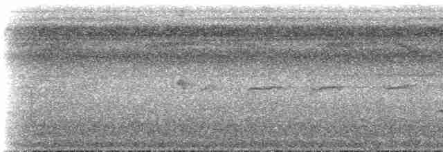 Лінивка-строкатка маскова (підвид subtectus) - ML515030