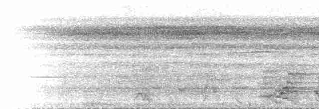 Бледный амазон (farinosa) - ML515036