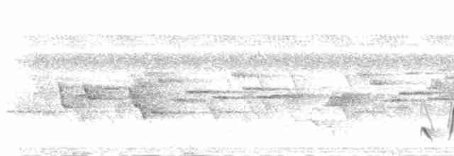 Меланезийский свистун - ML515038