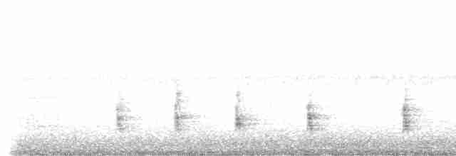 Münzevi Bülbül Ardıcı - ML515049541