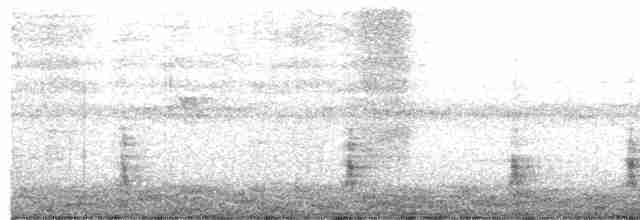 Дрізд-короткодзьоб плямистоволий - ML515051461
