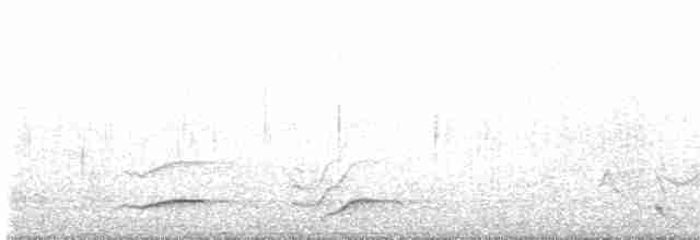 Віялохвістка цяткована - ML515104841