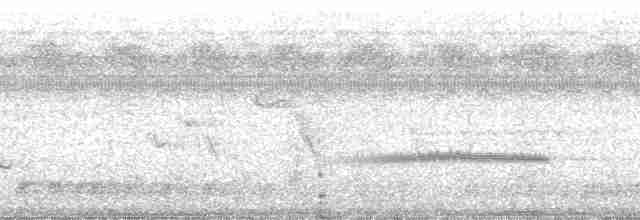 Barbican de Levaillant (macclounii) - ML51511