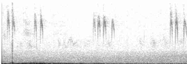 נחליאלי לבן (ממושקף) - ML515136691