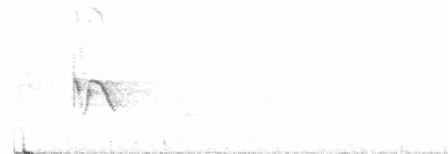 Патагонский овсяночник - ML515197411