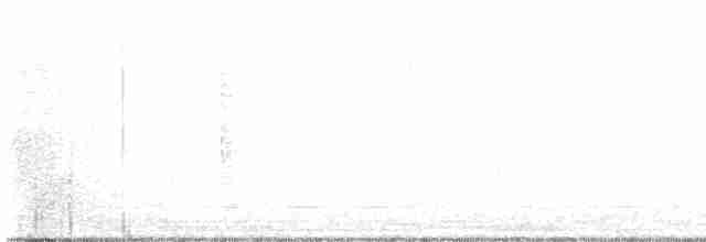 גיבתונית חומת-זנב - ML515223141