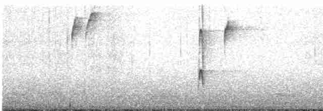 strakapoud osikový - ML515259911