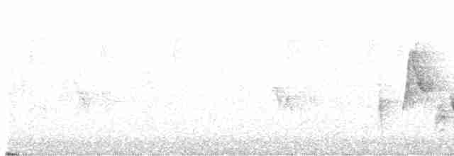 White-eyed Vireo - ML515260111