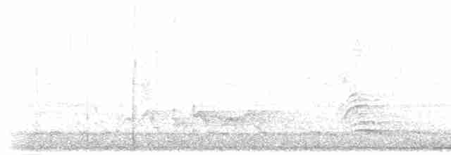 Тиран-інка буроголовий - ML515283