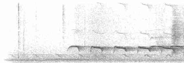 Weißbinden-Ameisenvogel - ML515289