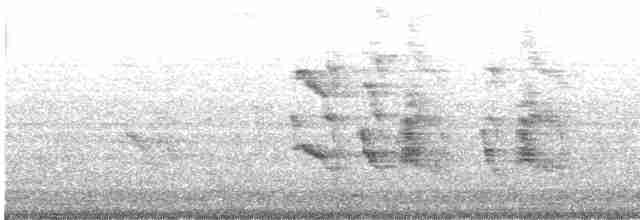 Social Flycatcher (Vermilion-crowned) - ML515304961