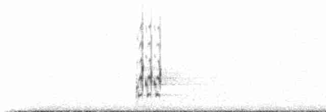 ťuhýk severní (ssp. borealis) - ML515306