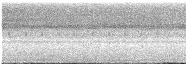 Great Eared-Nightjar - ML51530671