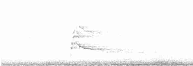 káně rudochvostá (ssp. harlani) - ML515314861