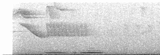 Андская голубка - ML515444