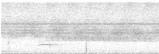 White-necked Thrush (Rufous-flanked) - ML515498131
