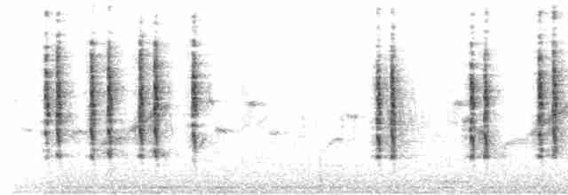 Baikal/Spotted Bush Warbler - ML515498461