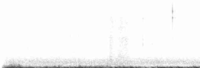 ארנריה אדמונית - ML515524561
