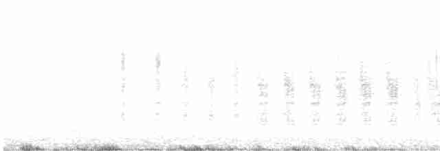 Lesser Grass-Finch - ML515527361