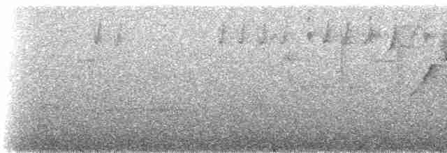 Gray-mantled Wren - ML515578