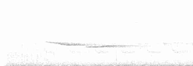 Russet-tailed Thrush - ML515607781