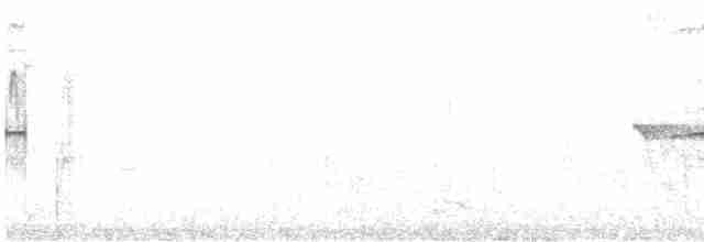 Ширококрылый канюк - ML515621631