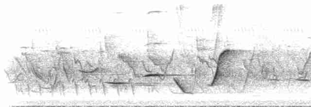 Меланезийский свистун - ML515698