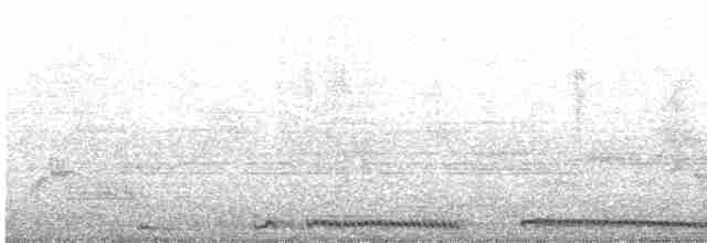 hrdlička kropenatá - ML515703441