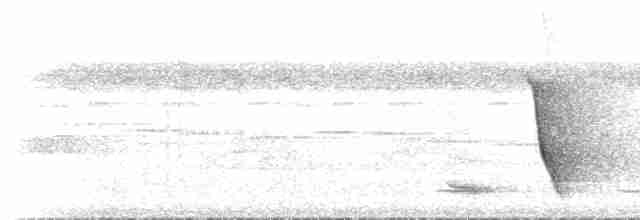Меланезийский свистун - ML515709
