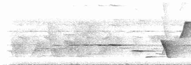 Меланезийский свистун - ML515711
