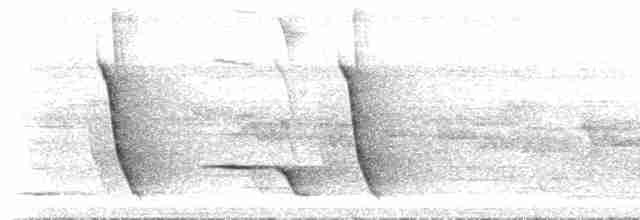 Меланезийский свистун - ML515712