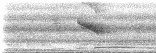 Меланезийский воронец - ML515714