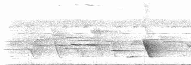 Меланезийский свистун - ML515721