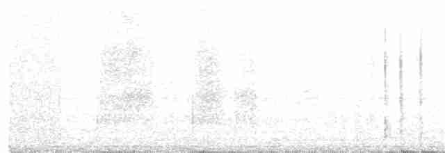 Münzevi Bülbül Ardıcı - ML51574871