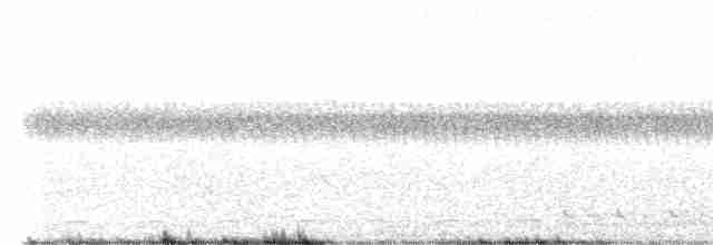 Spotted Nightjar - ML515751891