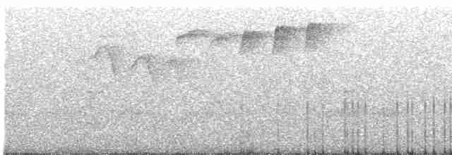 Kestane Karınlı Baştankara - ML515764011