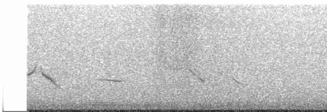 Тиран-крихітка золотогузий - ML515772141