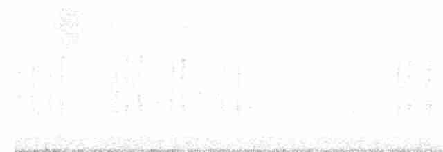 Doğulu Mavi Ardıç - ML515776441