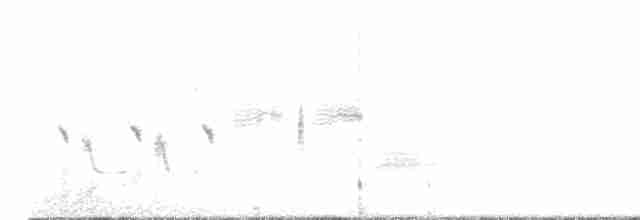 hvitkronespurv (leucophrys) - ML515802971
