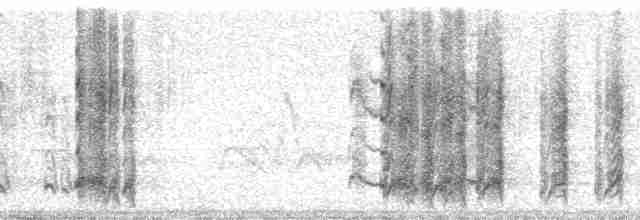 Sudandrosselhäherling - ML51584