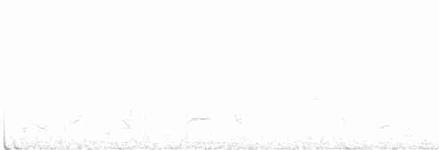 Серый пересмешник - ML515860201