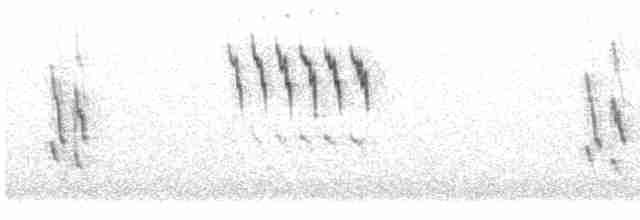 linduška tundrová [skupina rubescens] - ML515908901