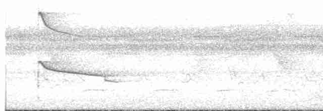 Белобровая агуйла - ML515916381